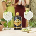 Oasium schottischer Gin Flasche 70 cl