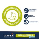 Veterinay Diets Gastroenteric Trockenfutter für ausgewachsene Mini-Hunde Huhn und Reis Tasche 3 kg