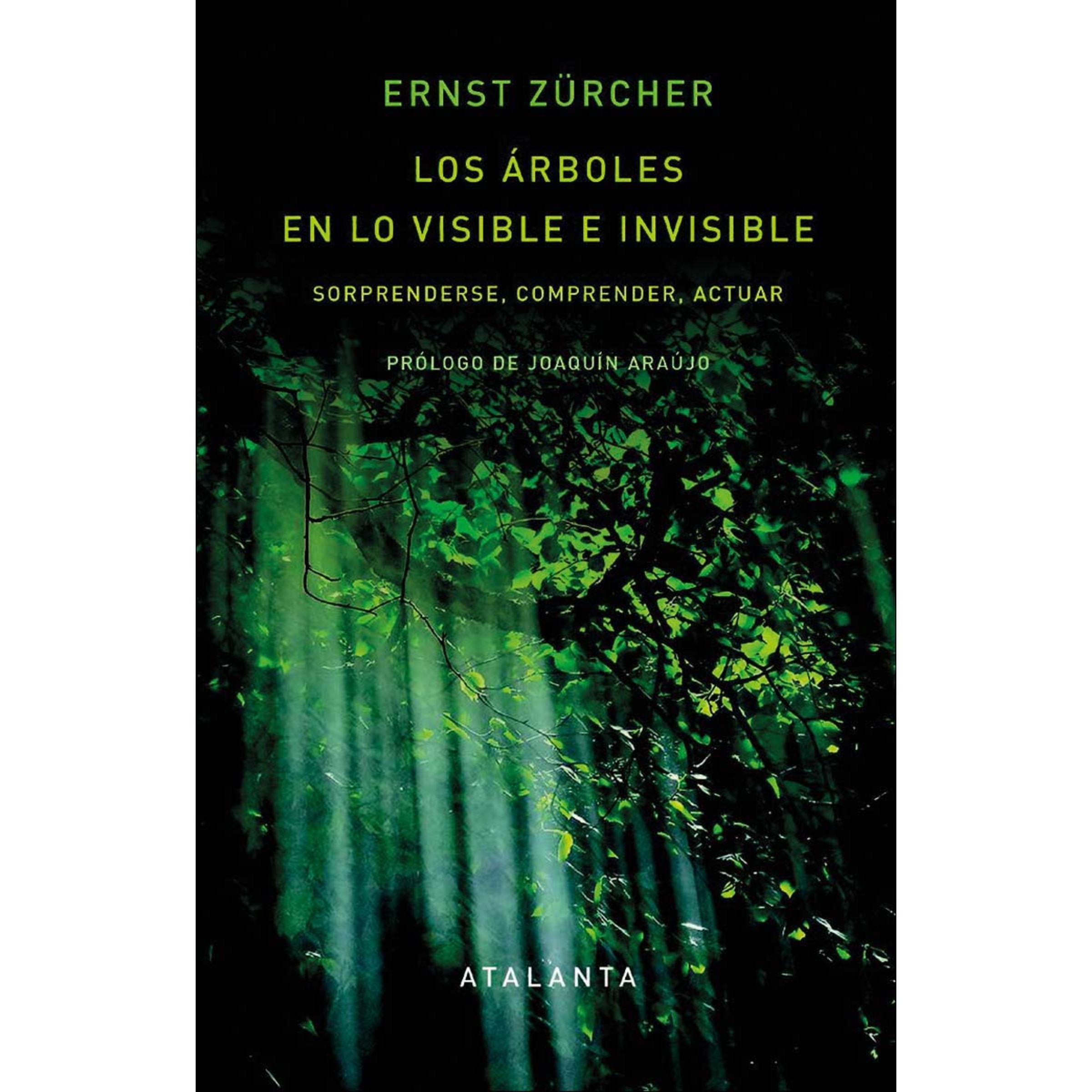 Imagem 0 de Los árboles en lo visible e invisible