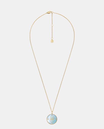Imagen 0 de Collar de acero y nácar