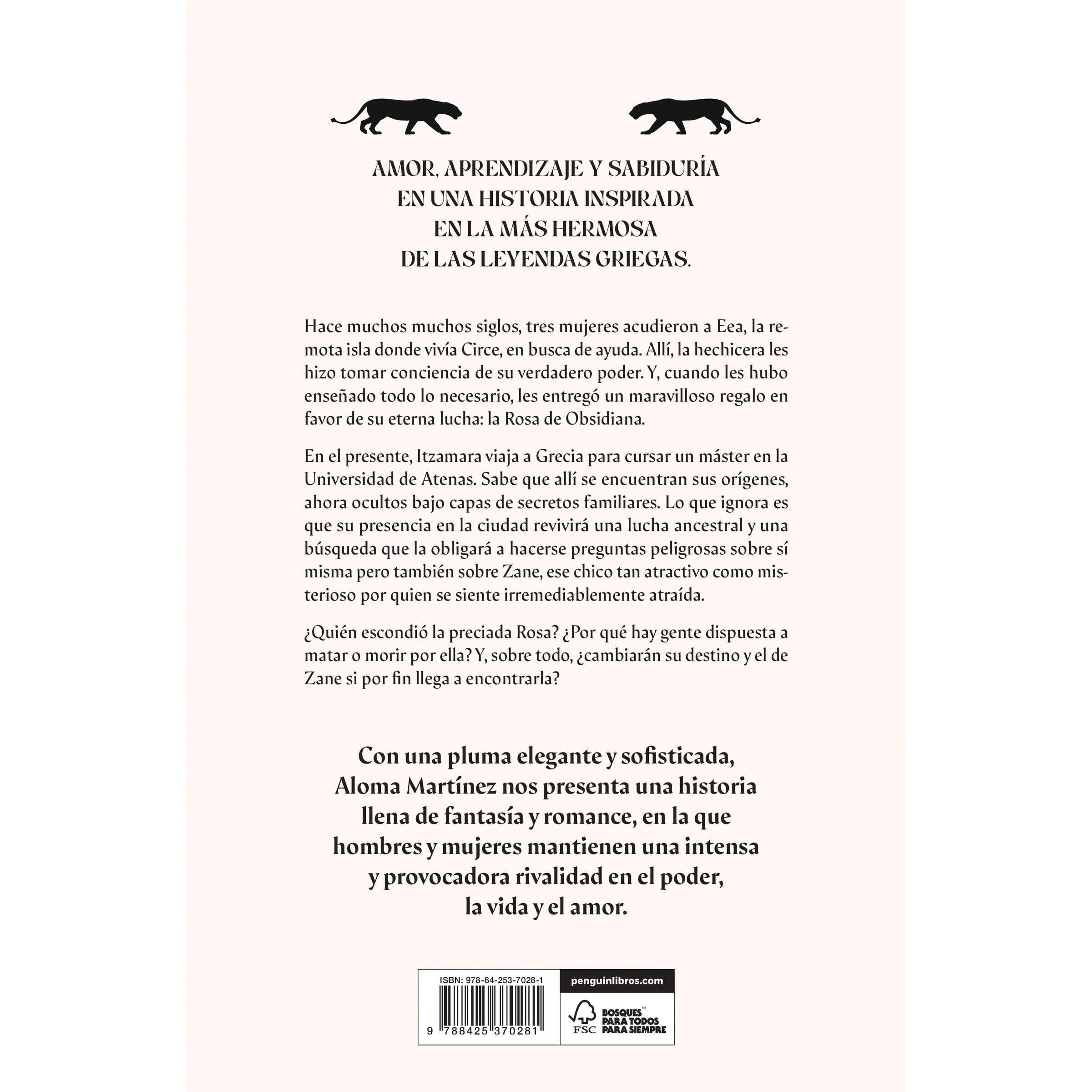 Obsidiana (Capa mole) 2