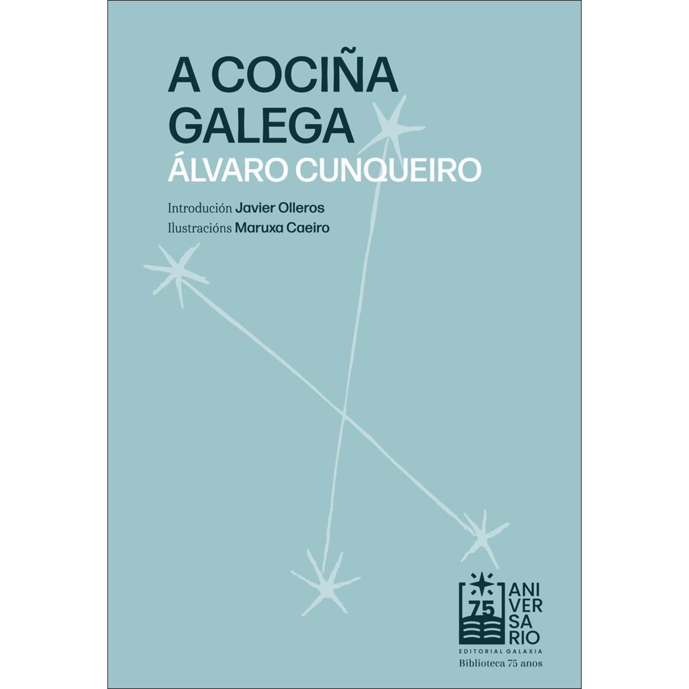 Imagem 0 de A cociña galega (Capa mole com abas)