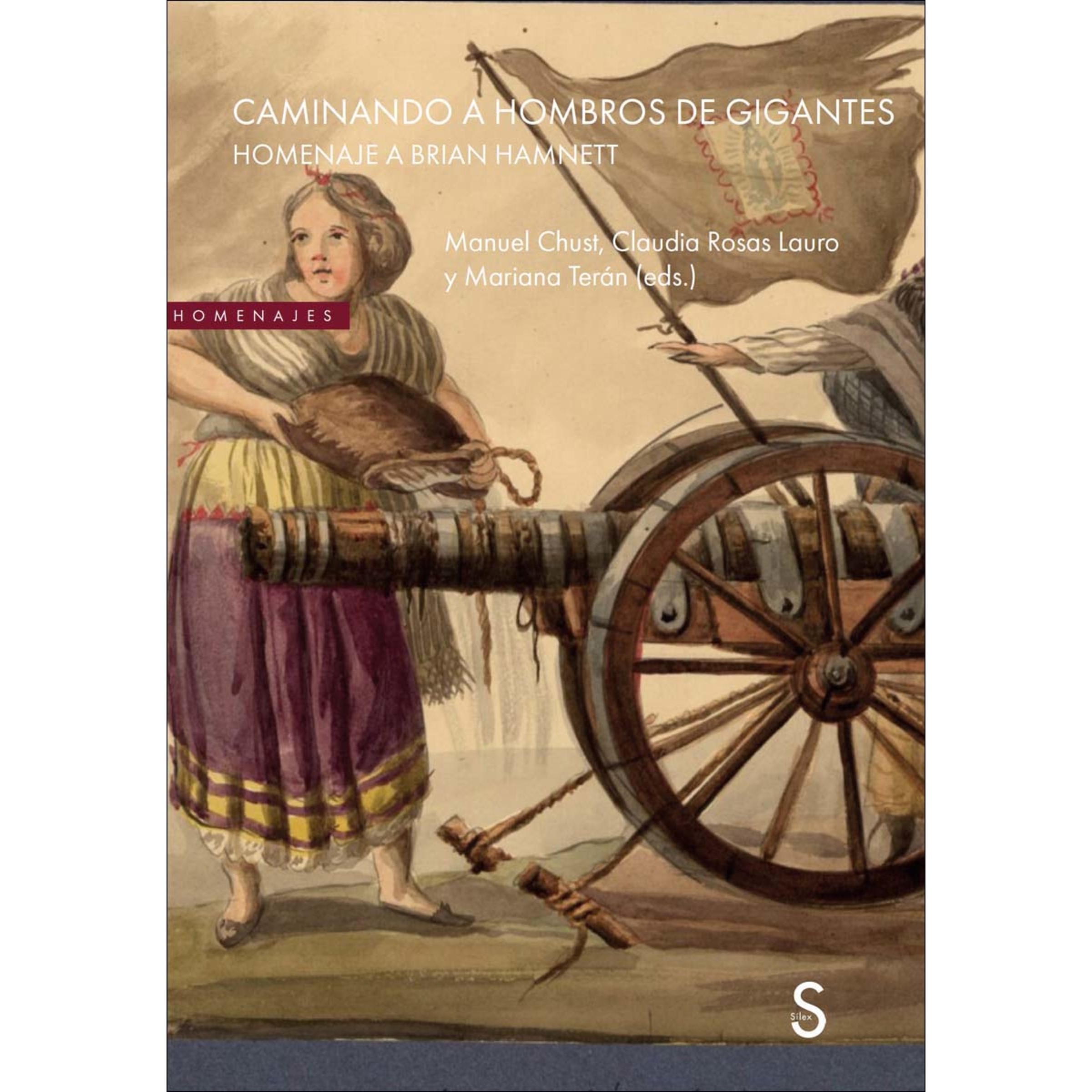 Caminando a hombros de gigantes: Homenaje a Brian Hamnett (Capa mole com abas) 1