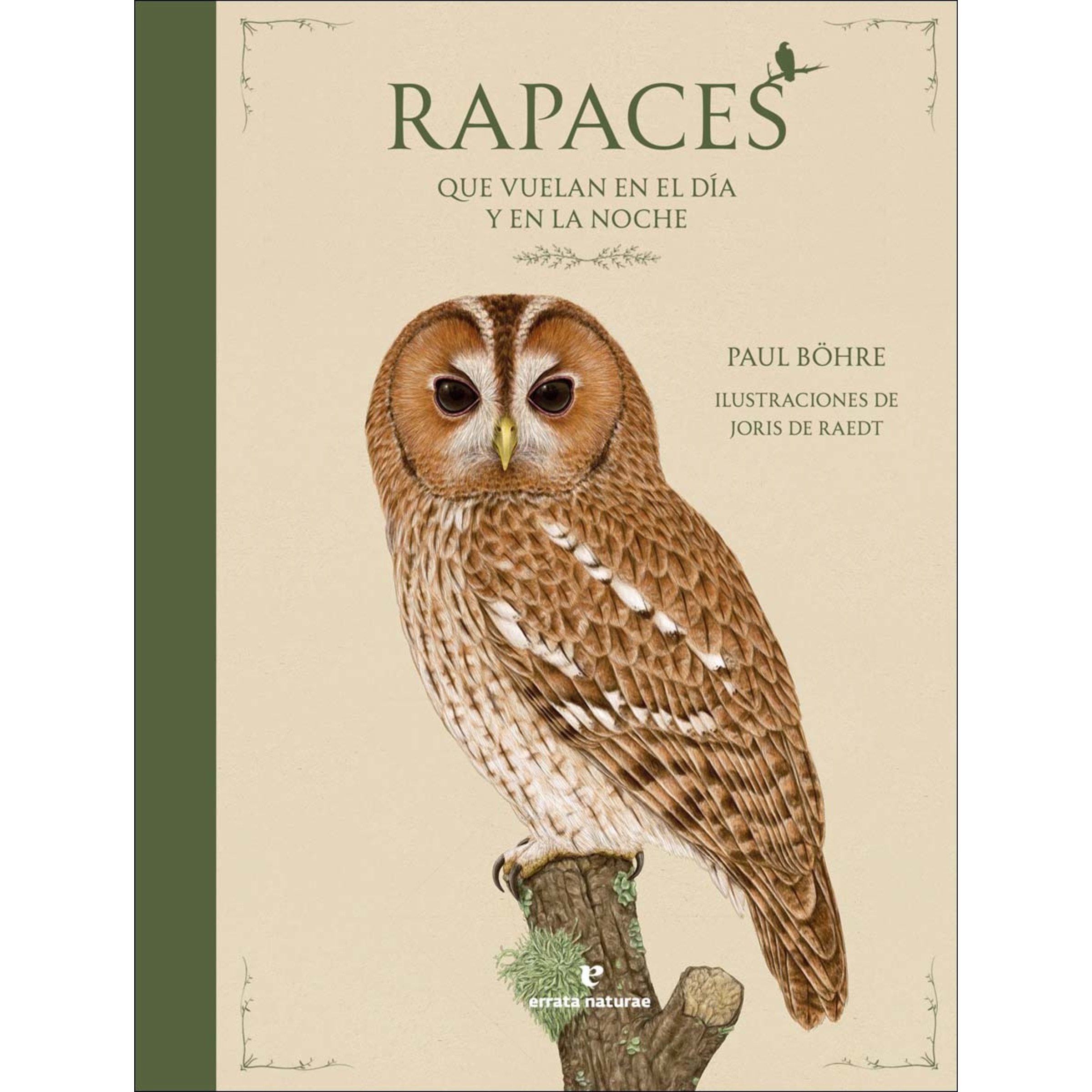 Rapaces que vuelan en el día y en la noche 1