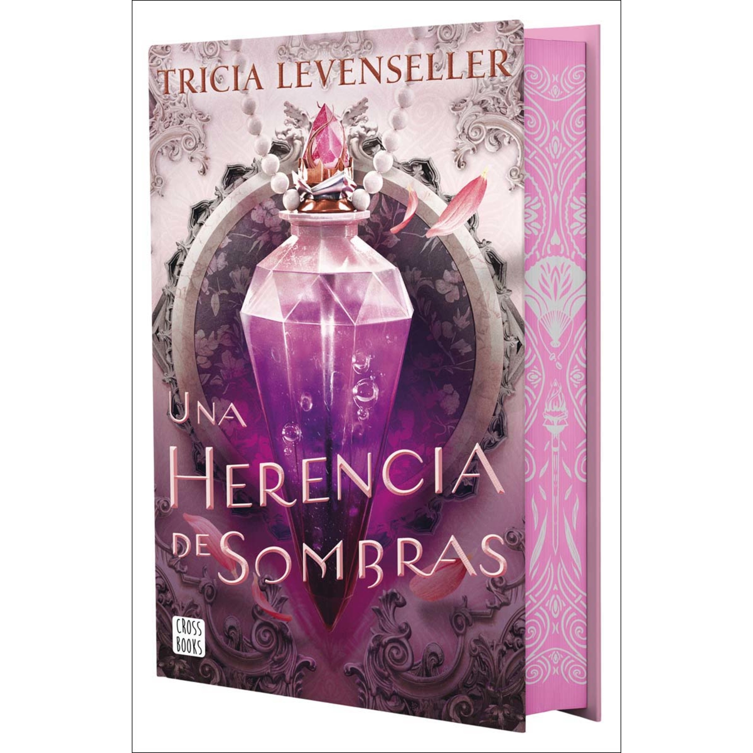 Una herencia de sombras: Edición con cantos tintados 1
