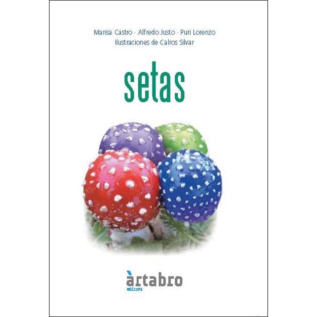Setas 1
