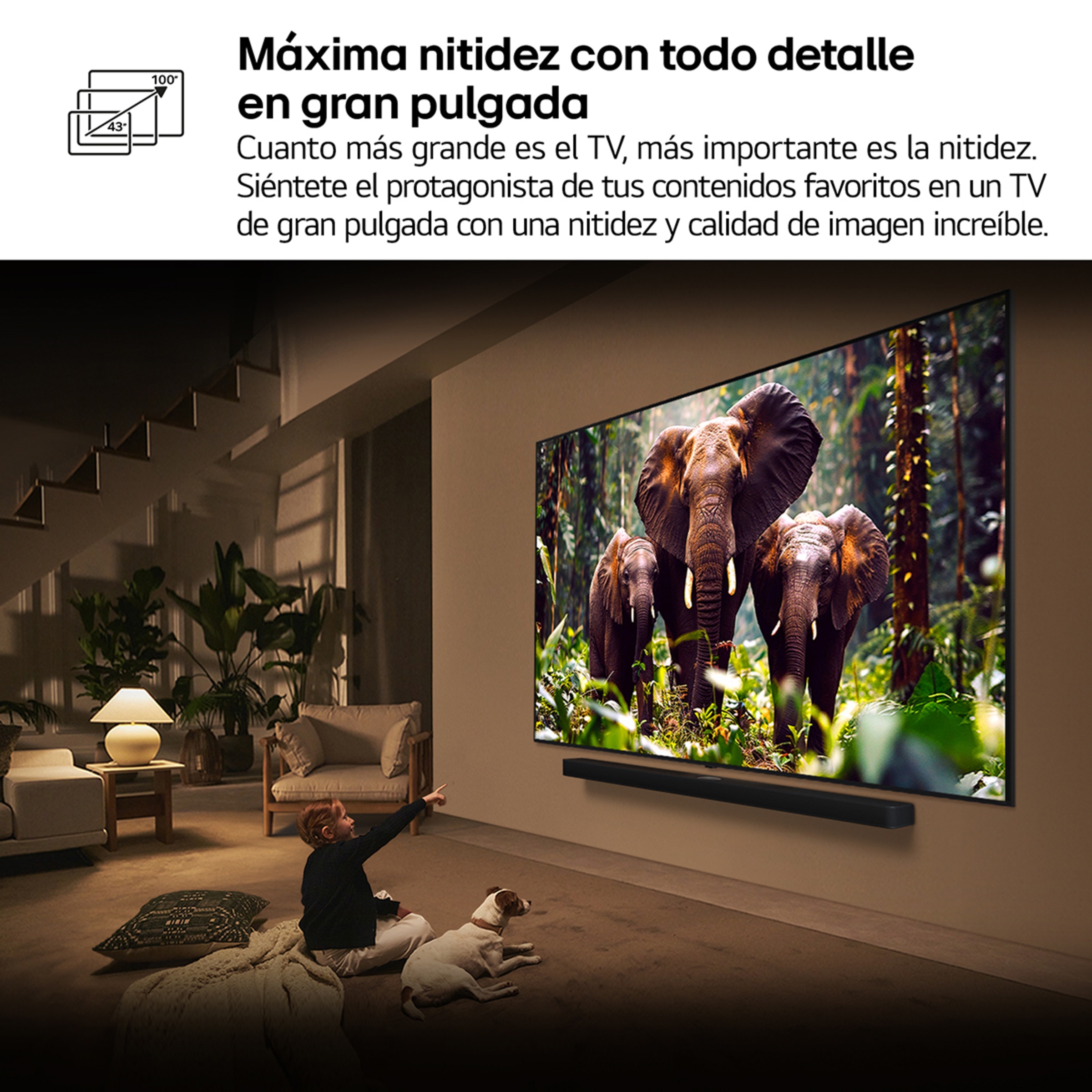 TV QNED evo MiniLED AI 164cm (65") LG 65QNED85A6C, 4K Smart TV Negro-15