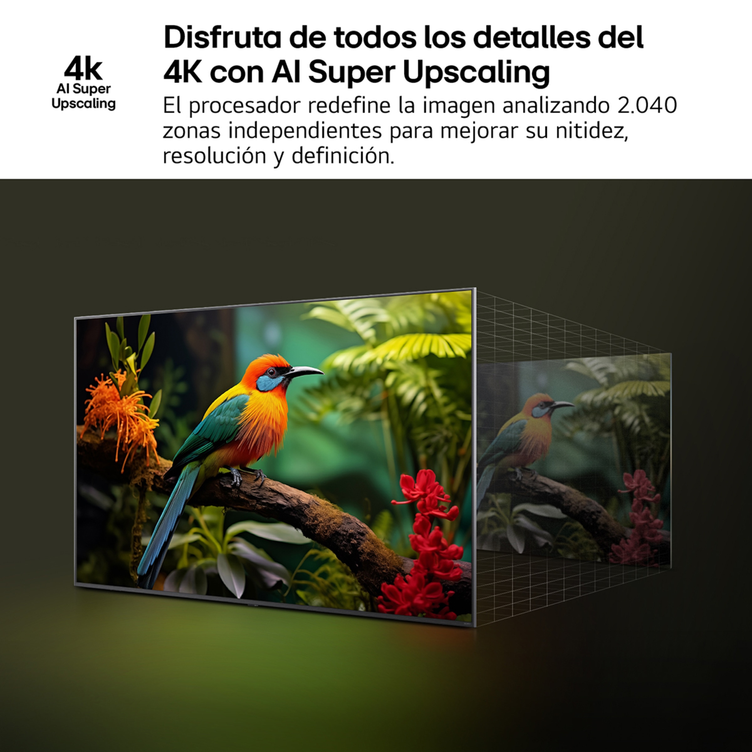 TV QNED AI 164cm (65") LG 65QNED80A6A, 4K Smart TV Negro-8