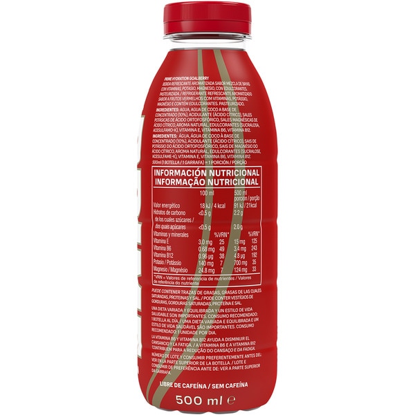 hydrierendes Iso-Getränk Arsenal Flasche 500 ml