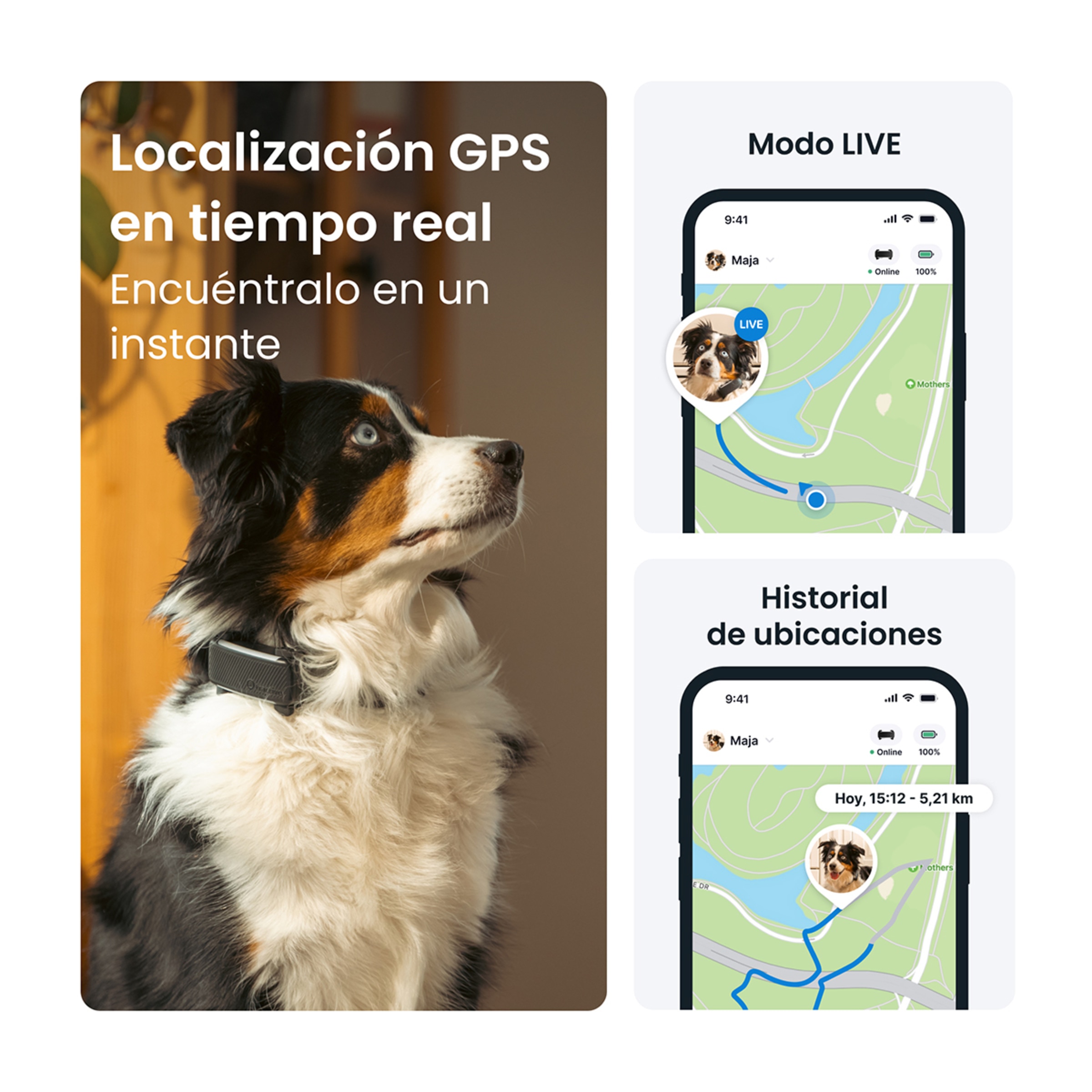 Gps para perros dog 6 Tractive Negro-3