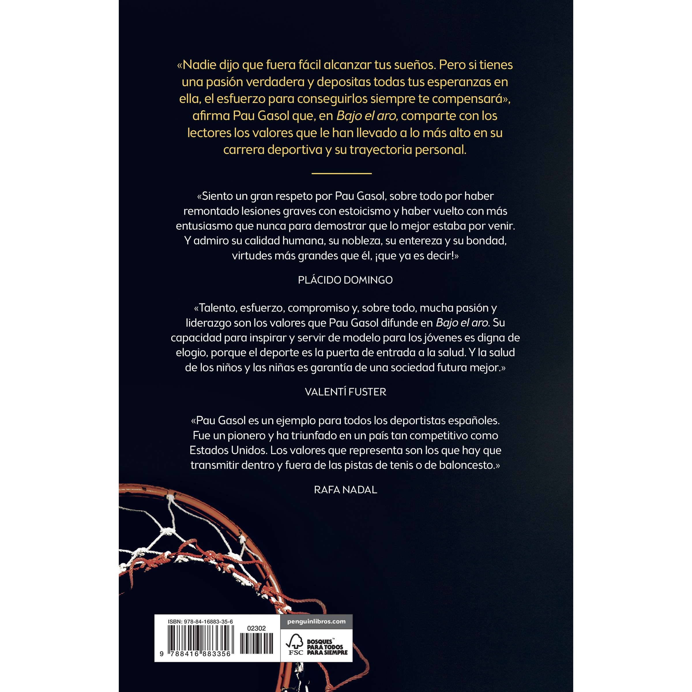 Bajo el aro: Aprender del éxito y del fracaso (Tapa blanda) · CONECTA ...