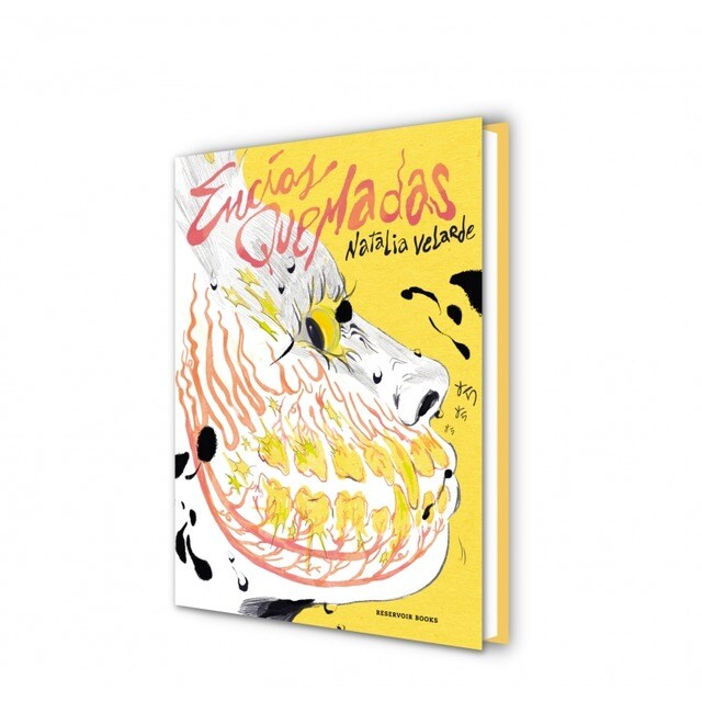 Encías quemadas (Capa dura) 6