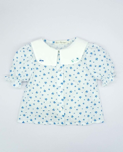 Imagen 0 de Blusa cuello bordado