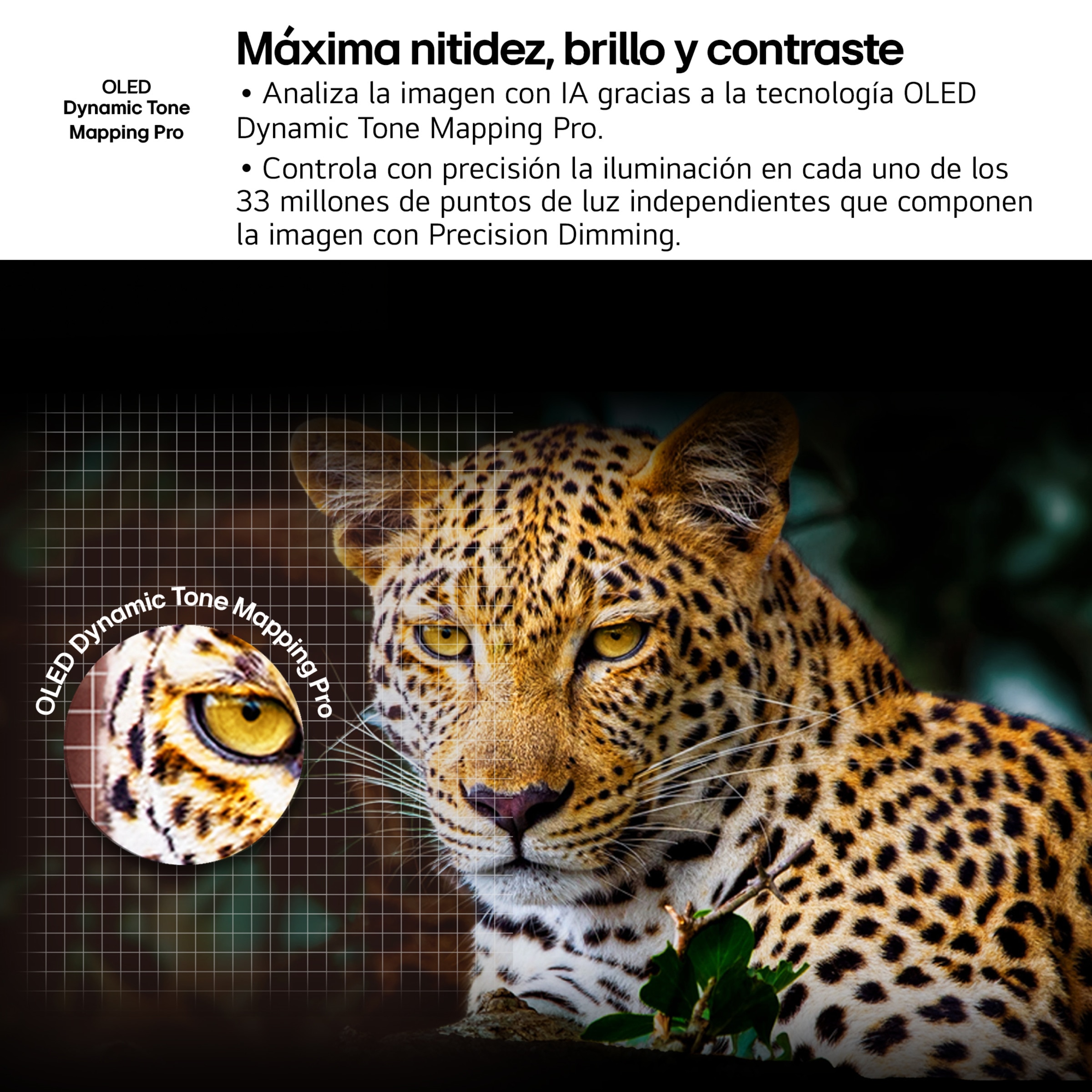 TV OLED evo AI G5 164cm (65") LG OLED65G55LW, Smart TV 4K, soporte pared incluido Negro-10