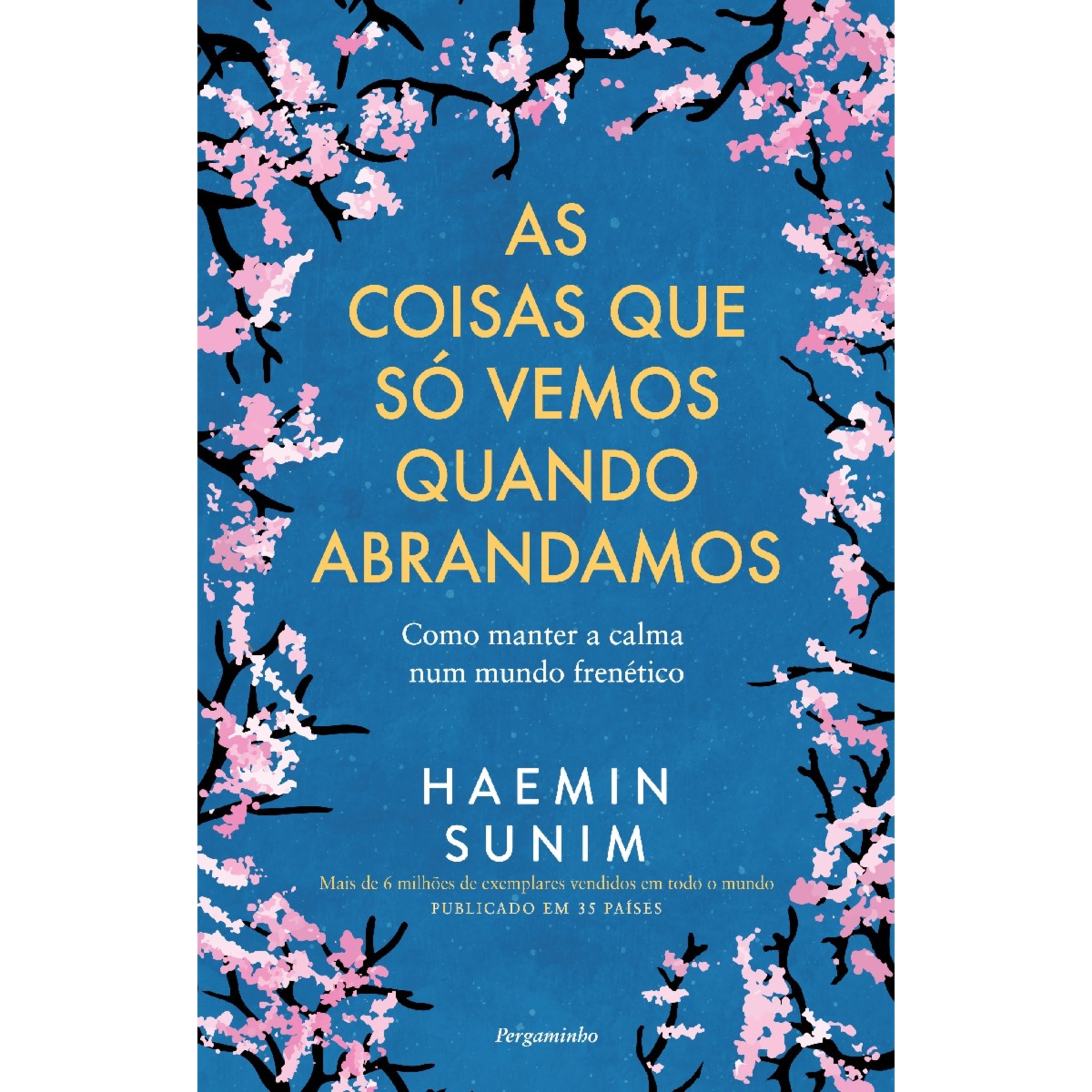As Coisas que Só Vemos Quando Abrandamos 1