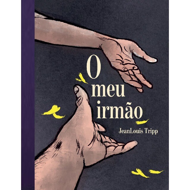 Imagem 0 de O Meu Irmão