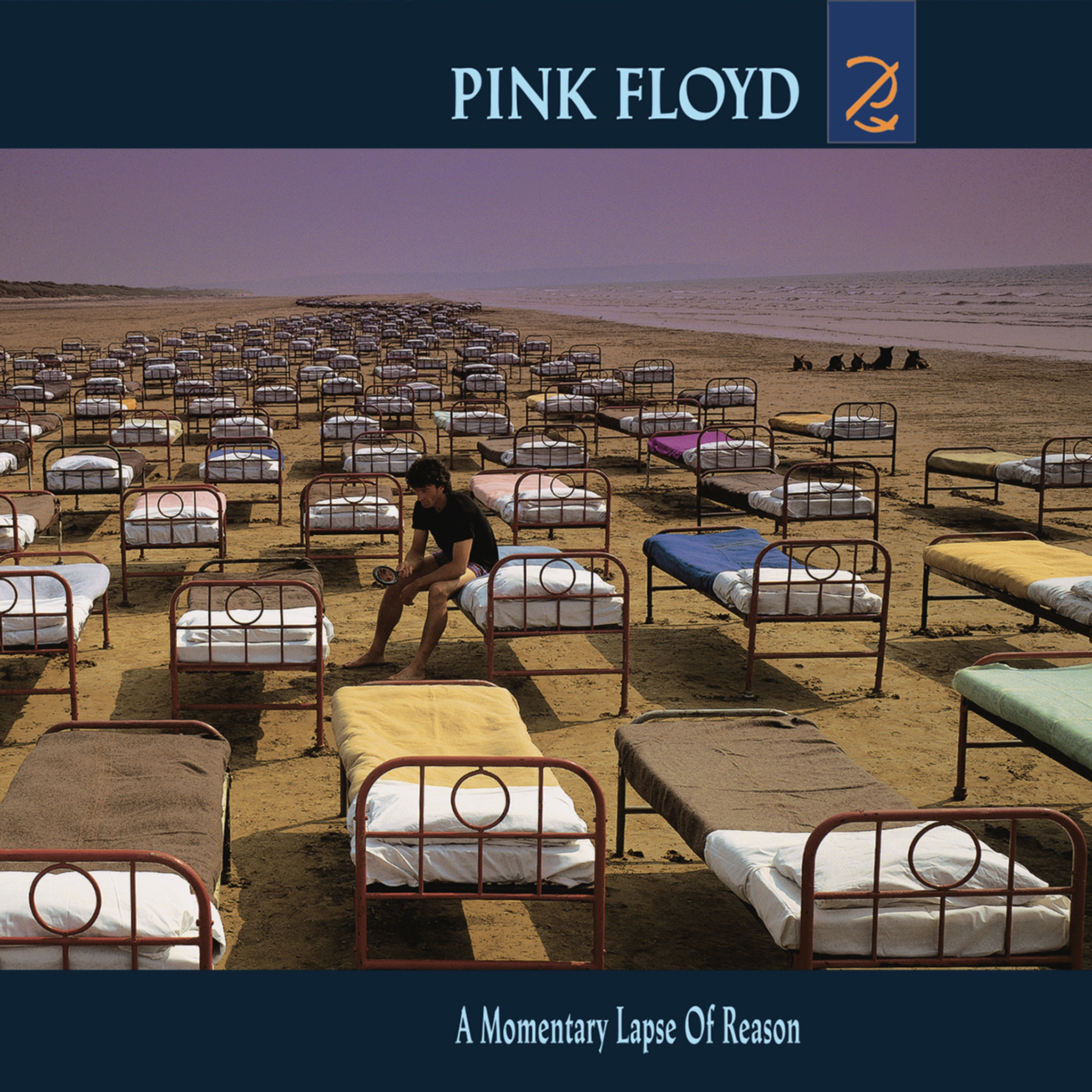 A momentary lapse of reason (CD) 1