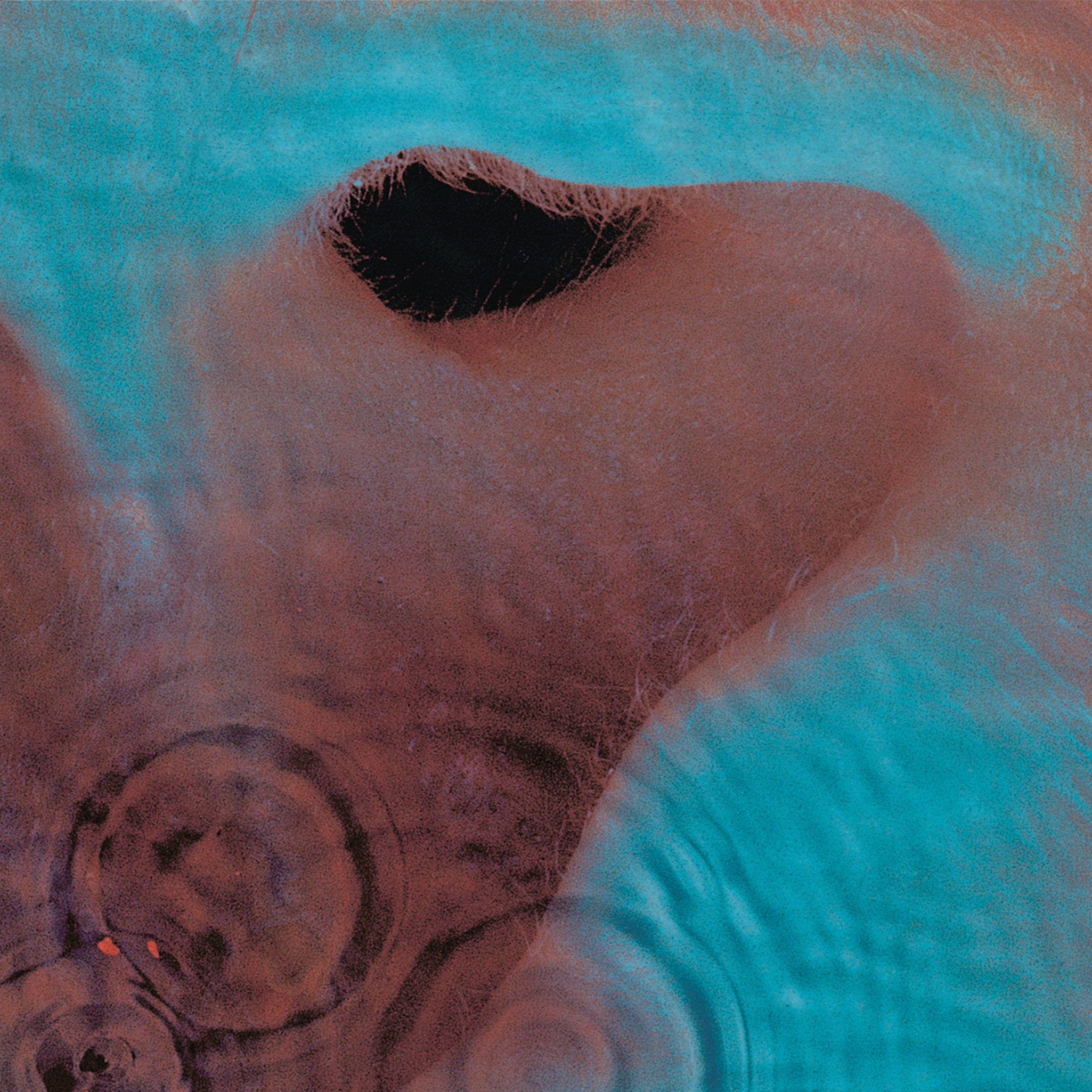 Meddle (CD) 1