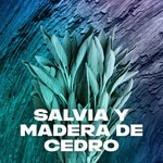 Duschgel Apollo 12 Stunden Flacon 400 ml