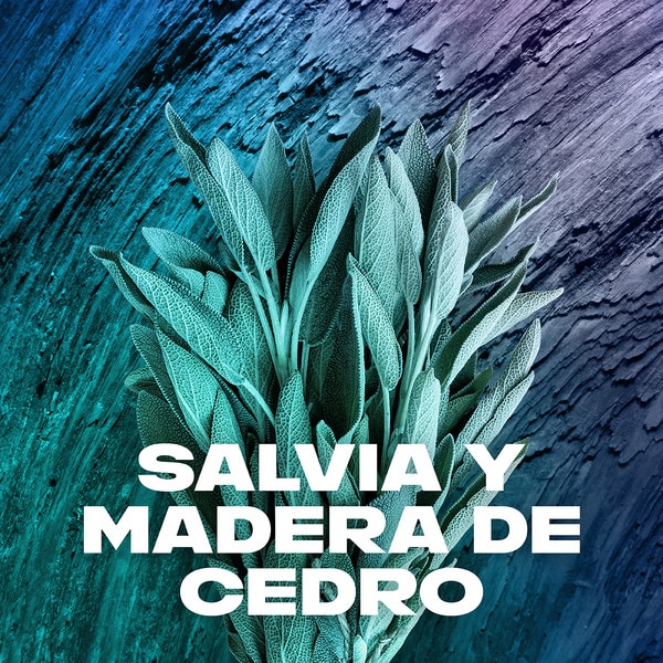 Duschgel Apollo 12 Stunden Flacon 400 ml