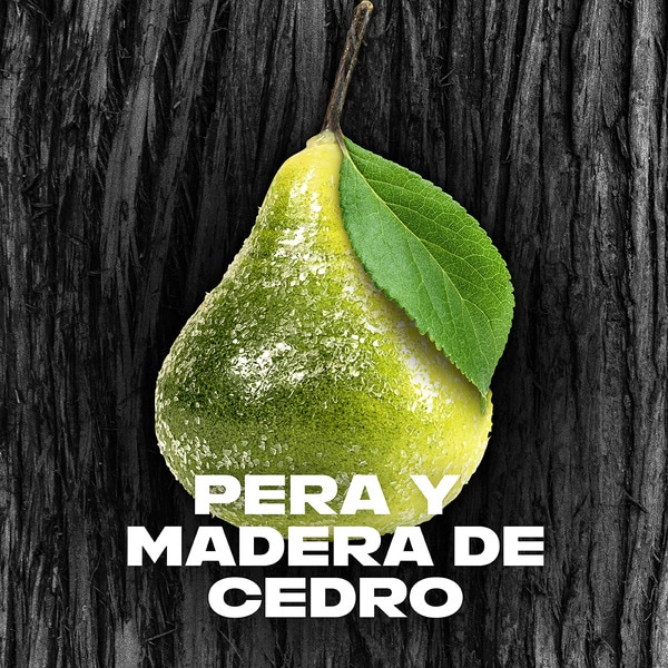 Black pear and cedar wood fragrance 48 h body spray deodorant spray 150 ml