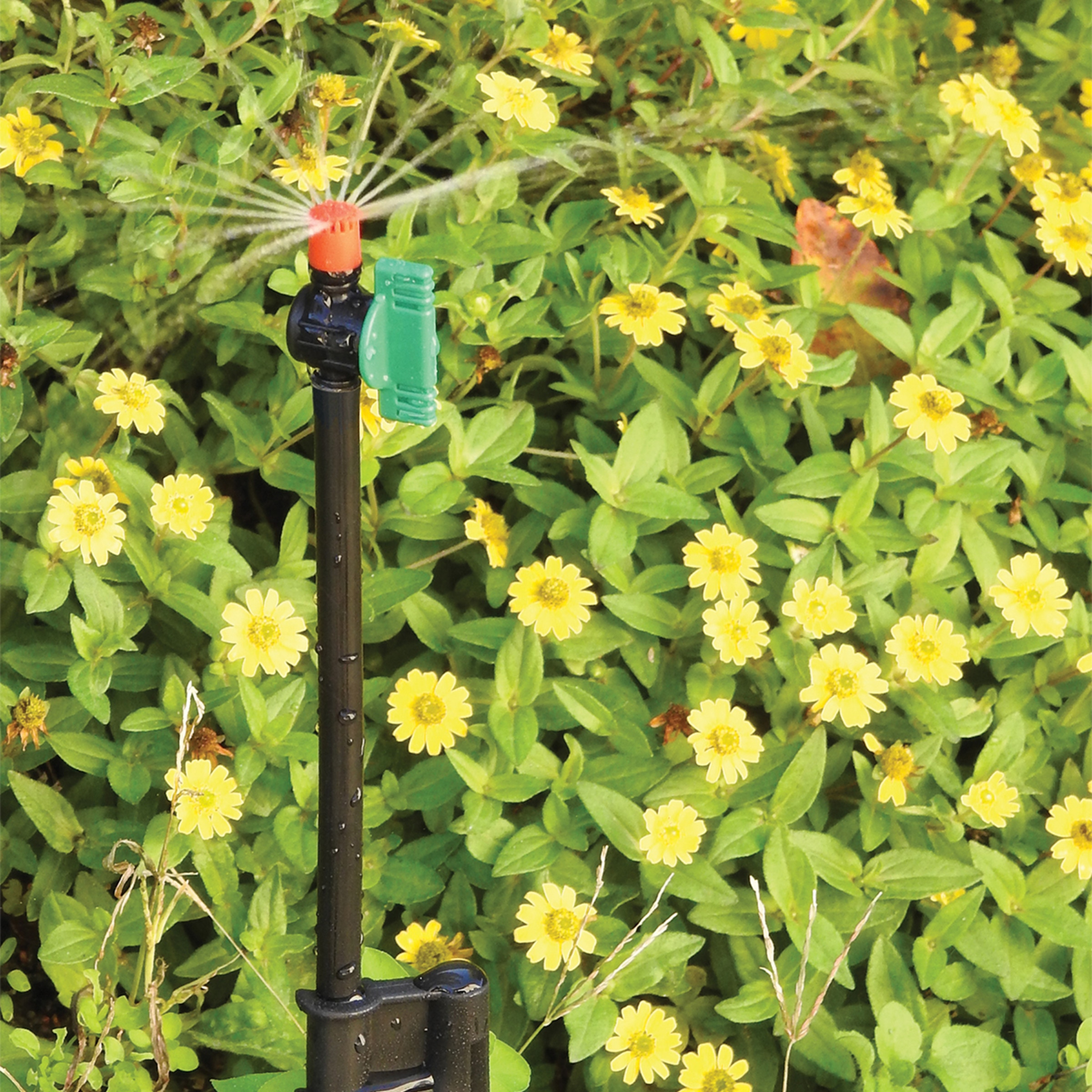 Varilla rígida 30 cm Ø 4 mm (x5) 2