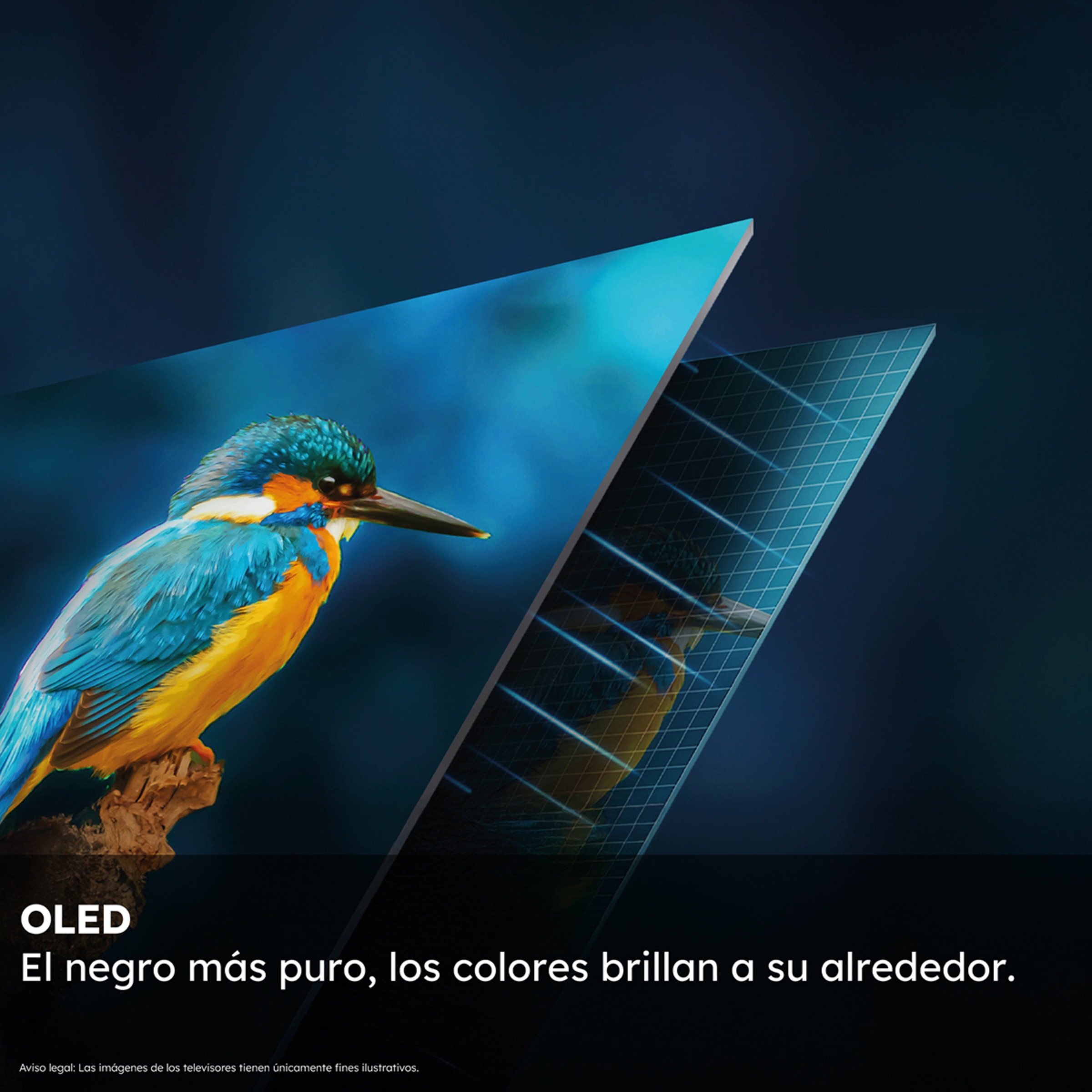 TV OLED 165 cm (65") Haier H65C95EUX UHD 4K, Smart Google TV, HDR10+, Dolby Vison, Dobly atmos con Harman Kardon, 144Hz Metálico-4
