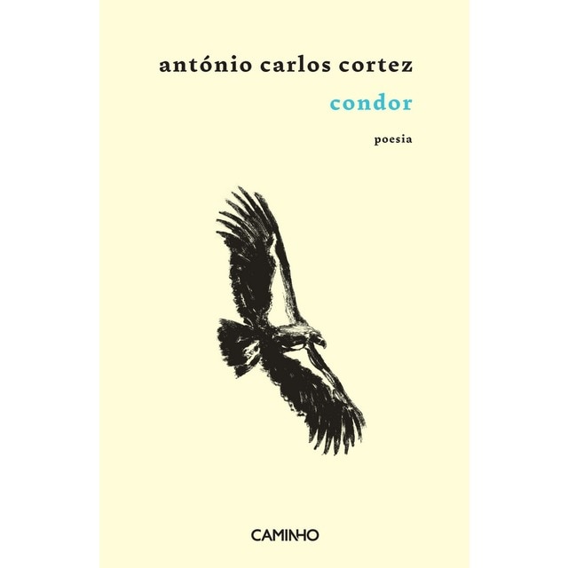 Imagem 0 de Condor