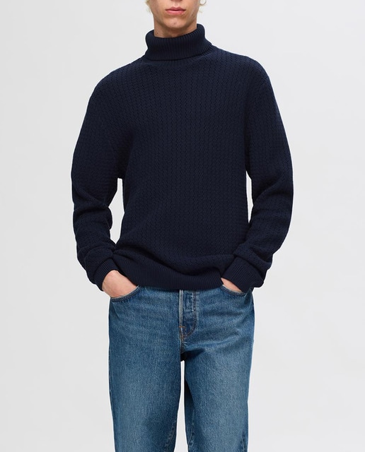 Imagen 0 de Jersey de hombre cuello alto 100% algodón orgánico