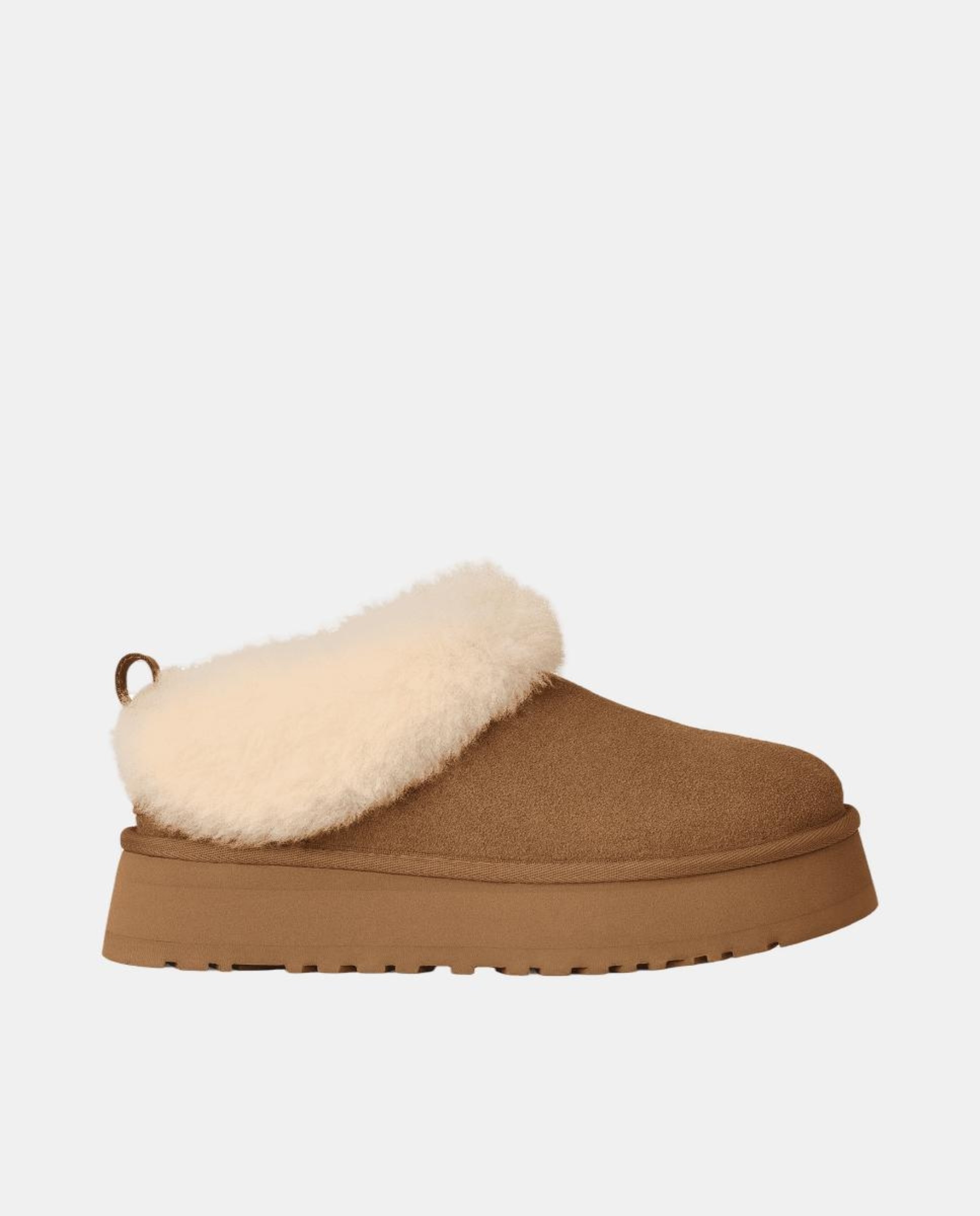 Botins Rasos Tazzelle em Pele e com Pelo Exterior Couro-1