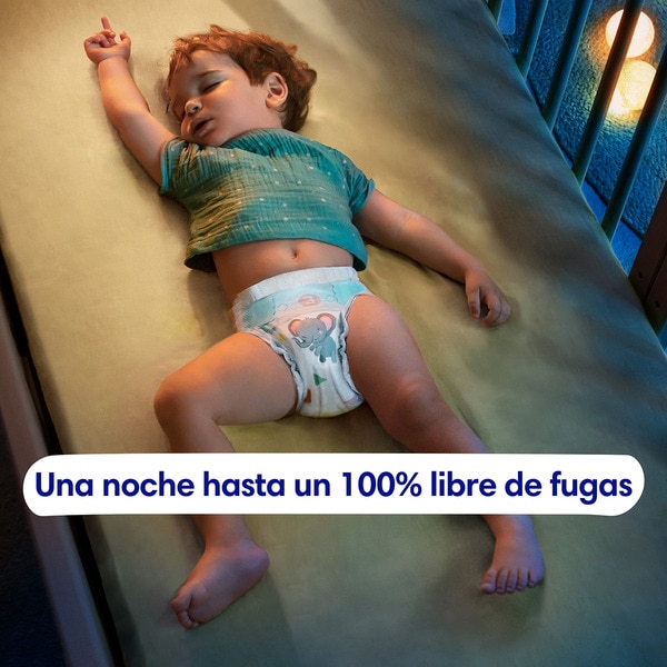 Bebé-Seco Windeln 9 bis 14 kg Größe 4 Box 164 Einheiten