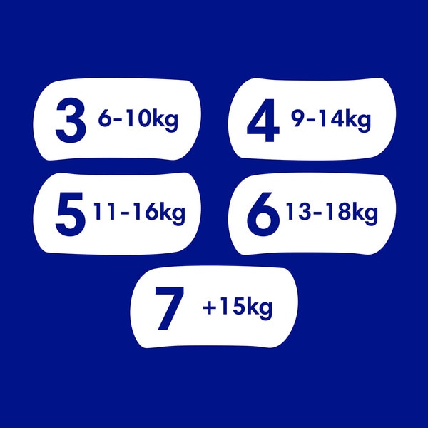 Bebé-Seco Windeln 11 bis 16 kg Größe 5 Box 152 Einheiten