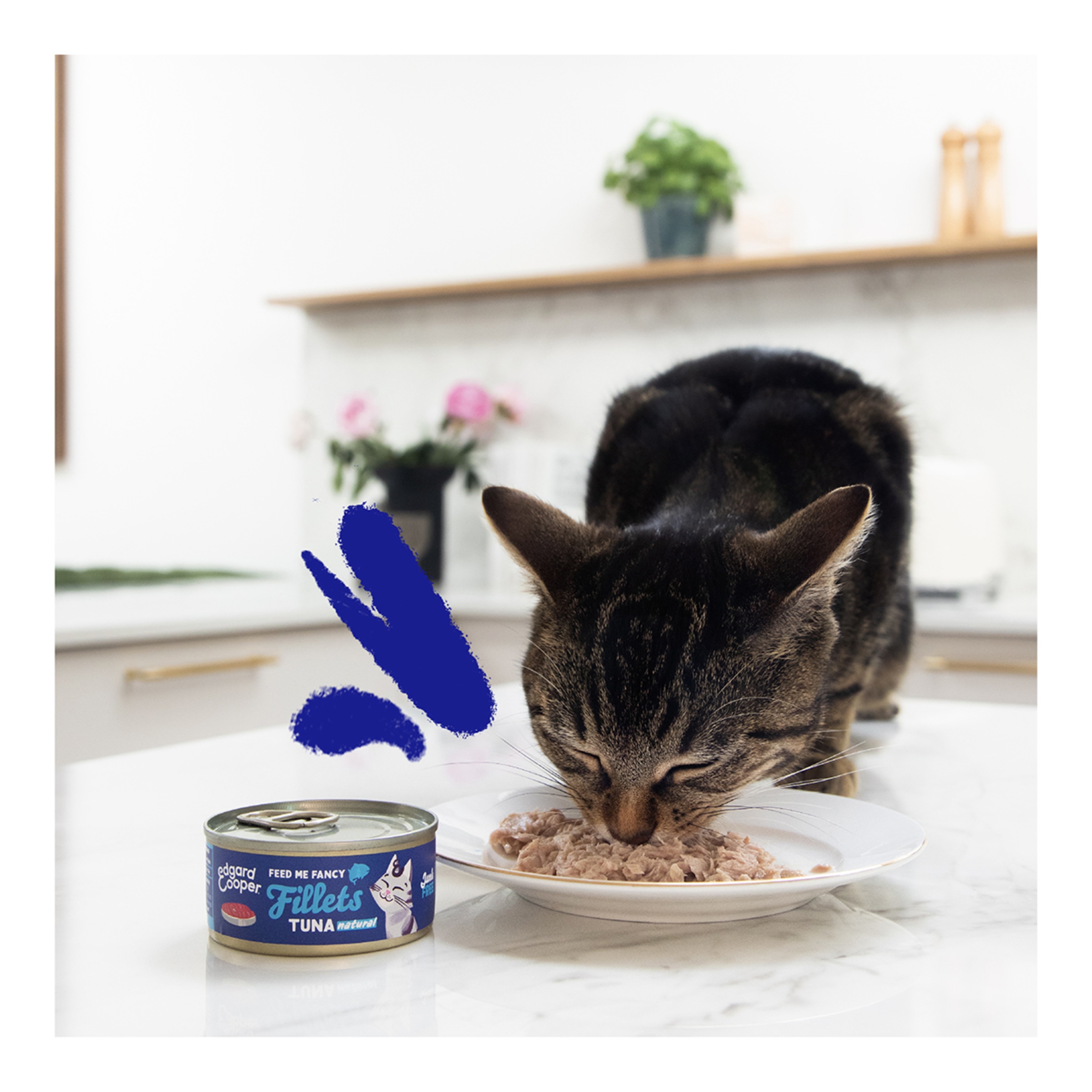Comida húmeda para gatos Adultos Edgard & Cooper filetes atún 70g 4