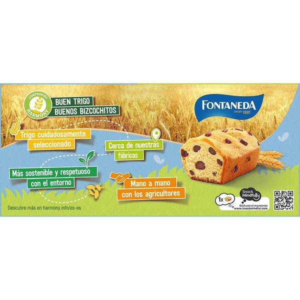 sponge cake with chocolate chips individually wrapped 5-pack packet 150 g