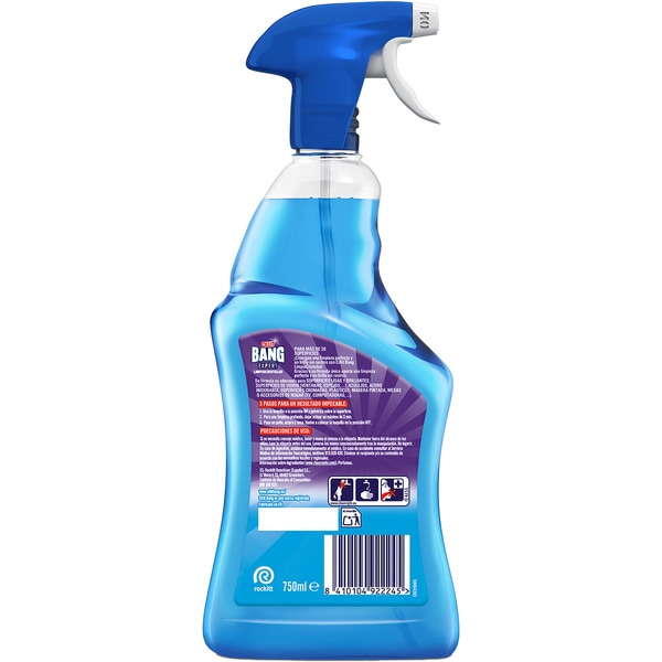 Fensterreiniger Expert Pistole 750 ml