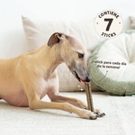 snack para perros ternera container 112 g