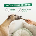 snack para perros ternera container 112 g