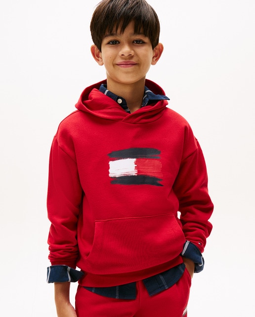 Imagem 0 de Sweatshirt com capuz e logótipo à frente