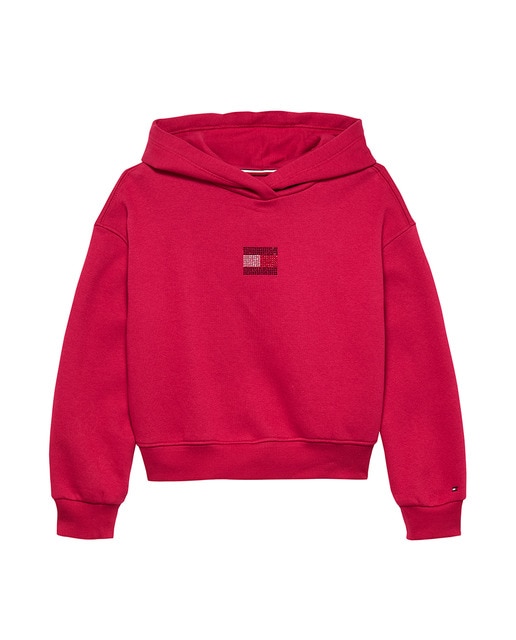 Imagem 0 de Sweatshirt de Bebé com Capuz e Logótipo de Pedraria à Frente