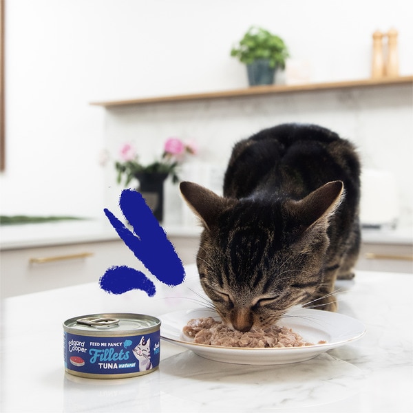 Feuchtfutter für Erwachsene Katzen Thunfischfilets Dose 70 g