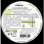 Kombucha Gengibre embalagem 330 ml