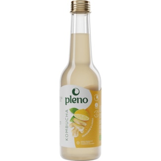 Bebida Chá Fermentado Limão e Gengibre embalagem 250 ml - Pleno