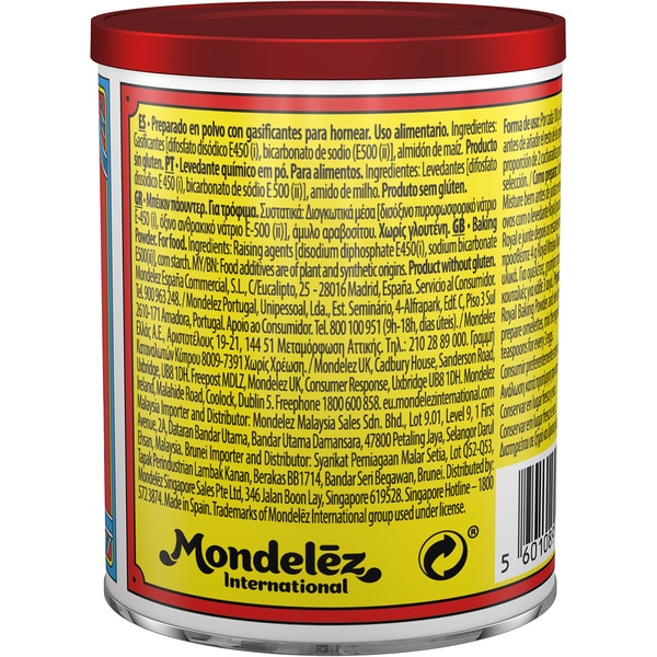 Baking Powder Fertig-Backpulver Topf 113 g