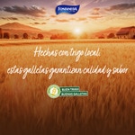 Oat digestive biscuits case 550 g