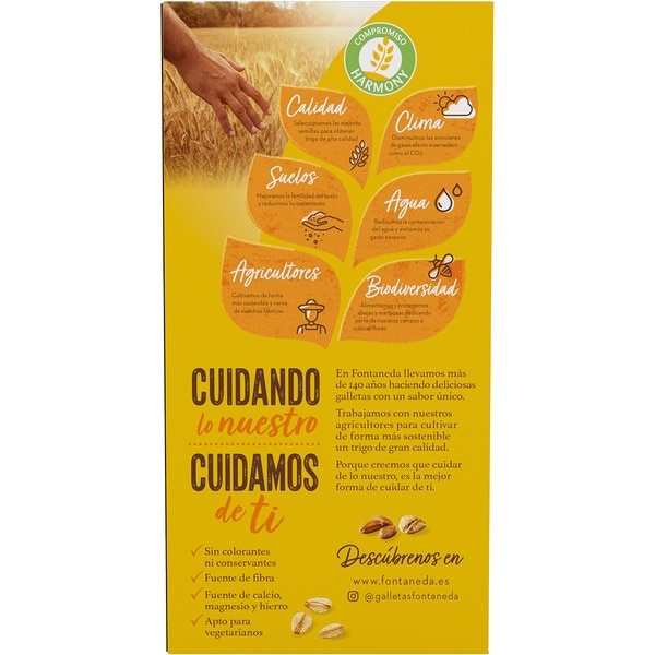 Frühstückskekse mit vollem Korn und Schokolade Karton 300 g