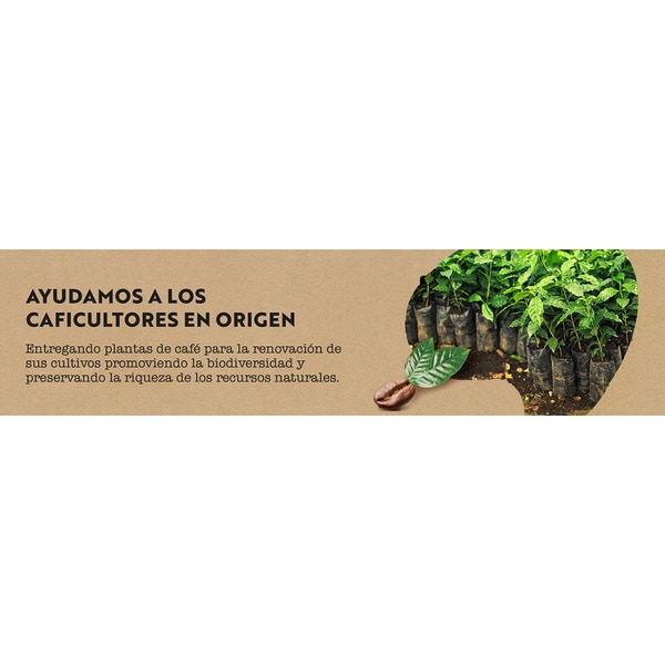 Kaffeebohnen helle Röstung Intensität 9 Paket 500 g