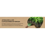 Koffeinfreier Bohnenkaffee aus nachhaltigem Anbau Intensität 8 Paket 500 g