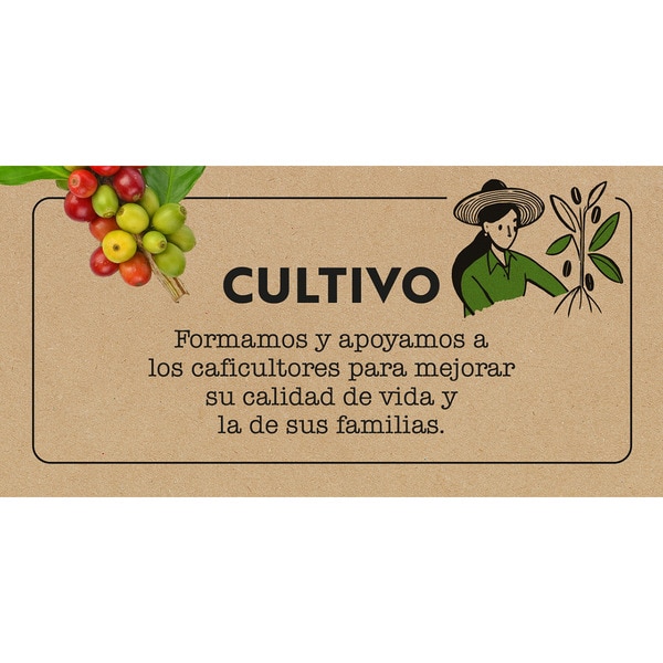 Kaffee gemahlen mittlere Röstung aus nachhaltigem Anbau Intensität 10 Paket 250 g