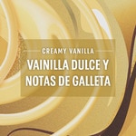 coffee with vanilla intensity 5 case 10 capsules compatible with Nespresso coffee machines