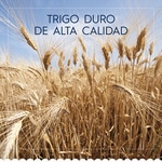 Collezione fettuccine case 500 g